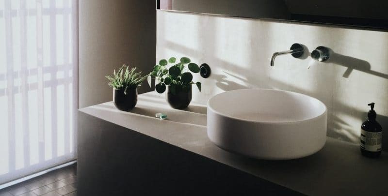 black and white bathroom vanity and indoor plants