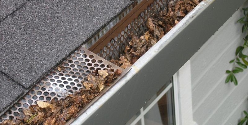 gutter with gutter guard and dead leaves