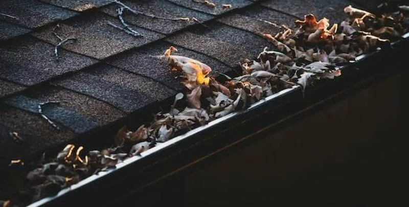 Cleaning your gutters twice a year is an effective plumbing maintenance strategy. 